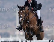 Duffy Grand Balou TosTour2013- S5 2847 : Arezzo, Arezzo Equestrian Centre, Duffy Alex, Grand Balou, Toscana Tour 2013, foto di Stefano Secchi ©